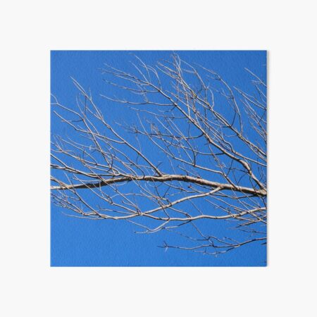 Tree branch, blue sky Art Board Print
