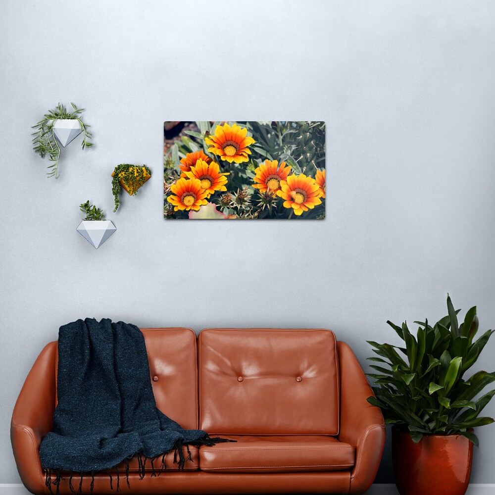 Summer Colour Metal Print