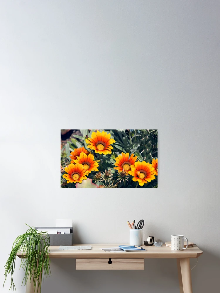 Thumbnail 2 of 3, Poster, Summer Colour designed and sold by Richard Windeyer.