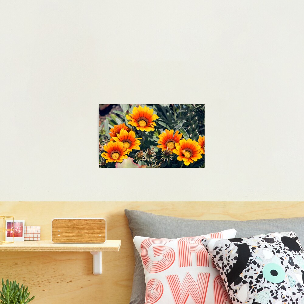 Summer Colour Photographic Print