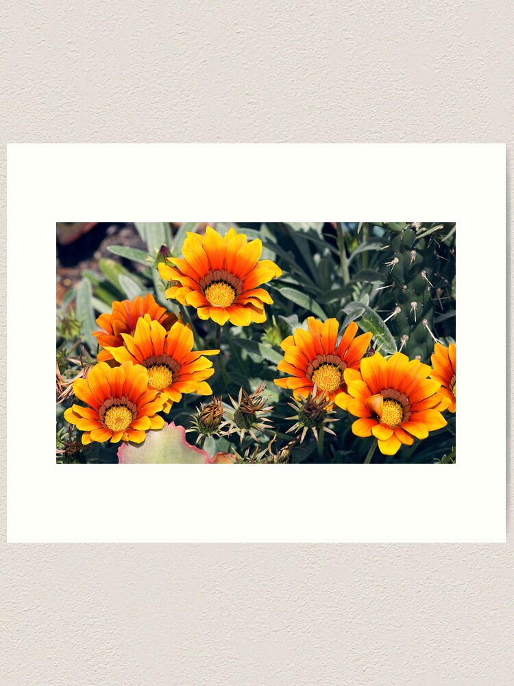 Thumbnail 1 of 3, Art Print, Summer Colour designed and sold by RICHARDW.