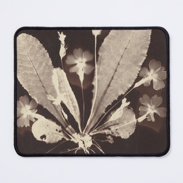 Item preview, Floral Photogram 1860s designed and sold by CaraEmery.