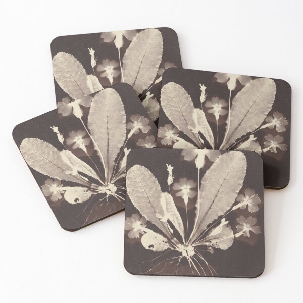 Item preview, Floral Photogram 1860s designed and sold by CaraEmery.
