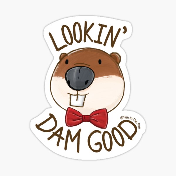 Lookin' Dam Good. Sticker