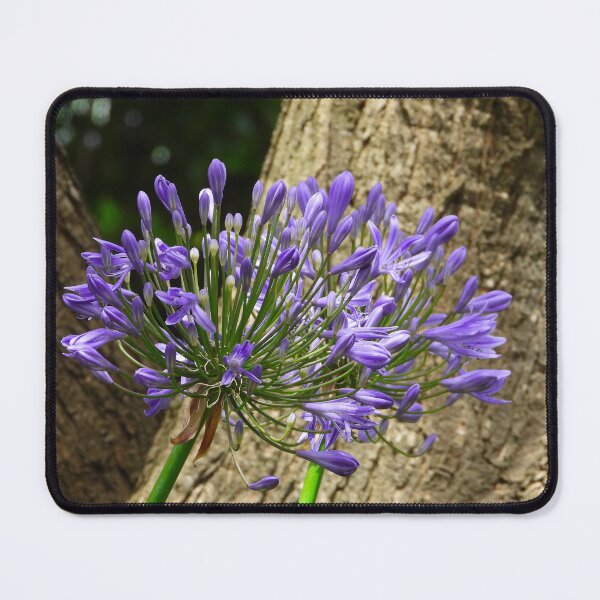 Item preview, Pretty Weed  designed and sold by Linda Sijpkes.