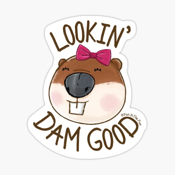 Lookin' Dam Good. Sticker