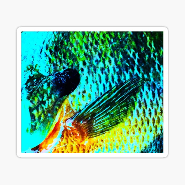 Vista previa del artículo con la obra «Patrón de piel Wacky Bluegill», diseñado y vendido por CJRPics.