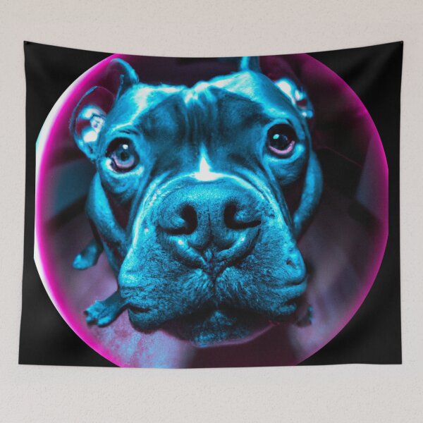 Item preview, pitbull fish eye camera  designed and sold by kombos.