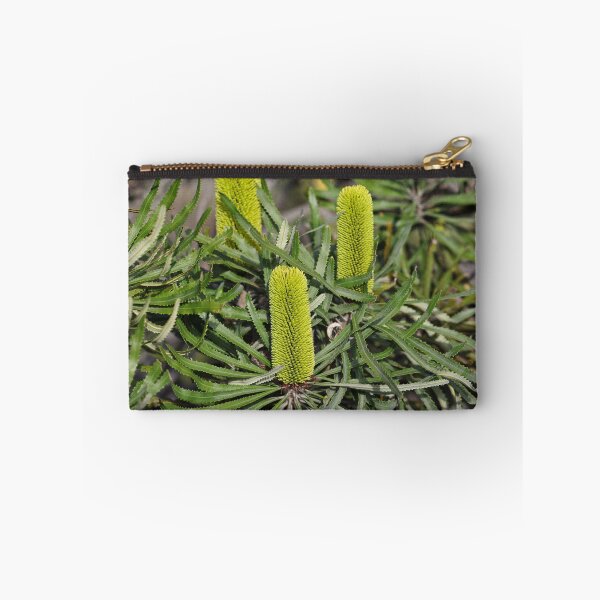 Item preview, Banksia attenuata - Candlestick Banksia designed and sold by ausnative.