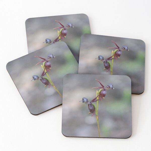 Item preview, Caleana major - Flying Duck Orchid designed and sold by ausnative.