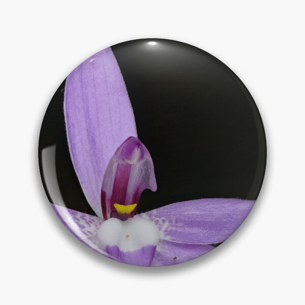 Item preview, Caladenia (Glossodia) major - Waxlip Orchid designed and sold by ausnative.