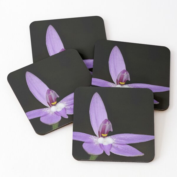 Item preview, Caladenia (Glossodia) major - Waxlip Orchid designed and sold by ausnative.