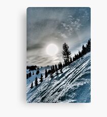 Snowstorm Canvas Print