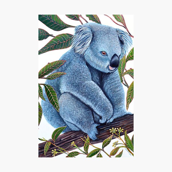 Item preview, Lazy Koala designed and sold by Linda Callaghan.