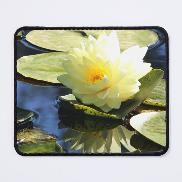 Item preview, Perry's Double Yellow Water Lily Backlit designed and sold by Robert Armendariz.