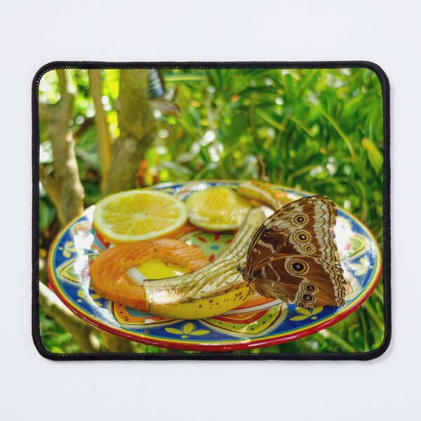 Item preview, Butterfly on a Plate of Food designed and sold by jrtwynam.
