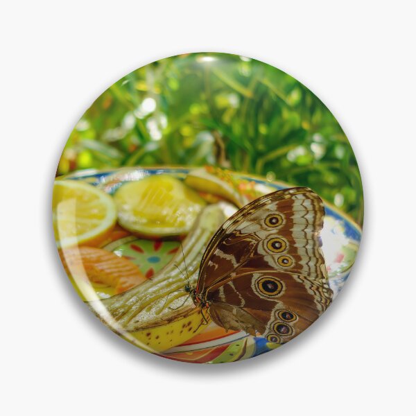 Item preview, Butterfly on a Plate of Food designed and sold by jrtwynam.