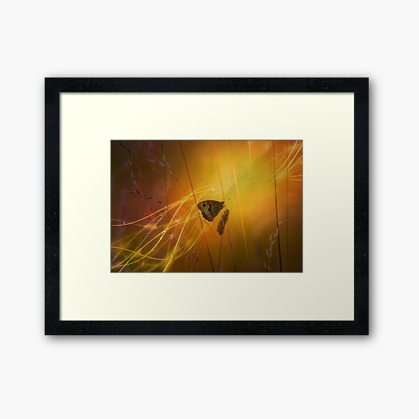 the golden hour... Framed Art Print