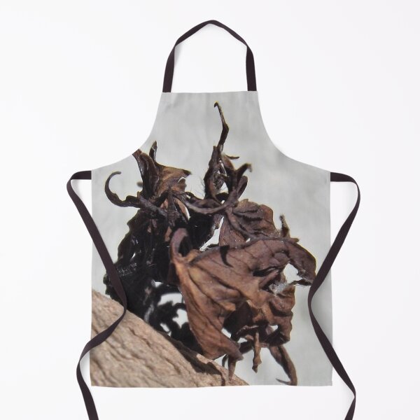 Item preview, Dragón seco designed and sold by SeeGodAroundUs.