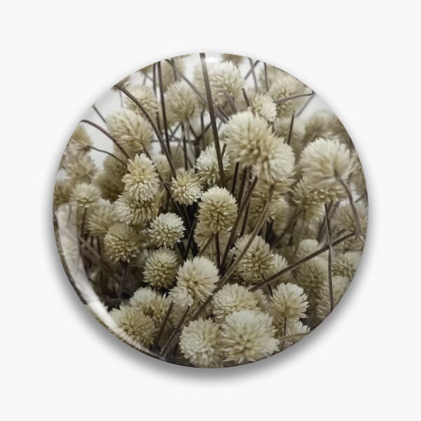 Item preview, Plant photography, dried plants picture, aesthetic minimalist art  designed and sold by MarJul.