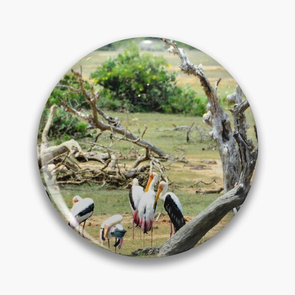 Item preview, Sri Lanka - Tissamaharama Yala National Park designed and sold by franck380.