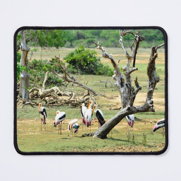 Item preview, Sri Lanka - Tissamaharama Yala National Park designed and sold by franck380.