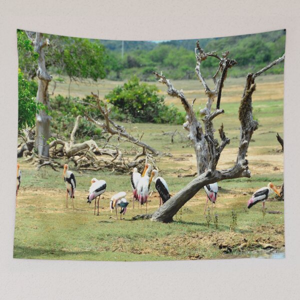 Item preview, Sri Lanka - Tissamaharama Yala National Park designed and sold by franck380.