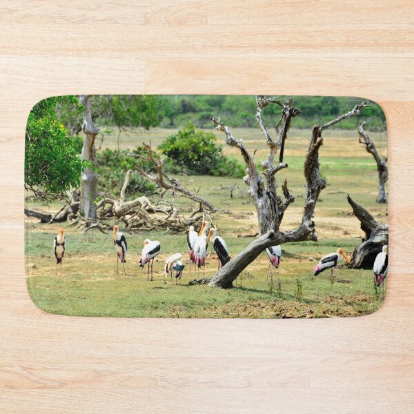 Item preview, Sri Lanka - Tissamaharama Yala National Park designed and sold by franck380.