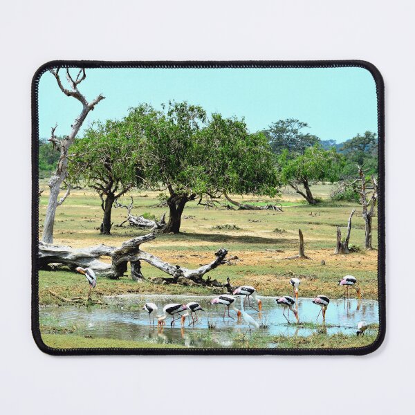Item preview, Sri Lanka - Tissamaharama Yala National Park designed and sold by franck380.
