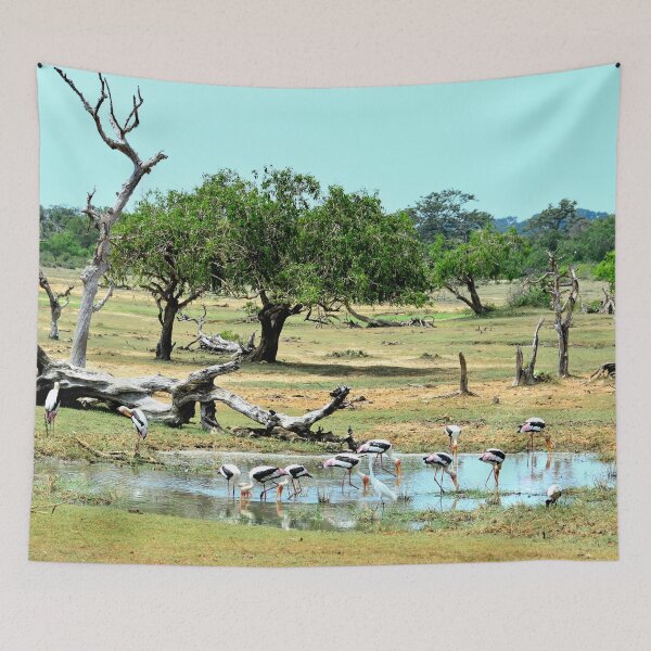 Item preview, Sri Lanka - Tissamaharama Yala National Park designed and sold by franck380.