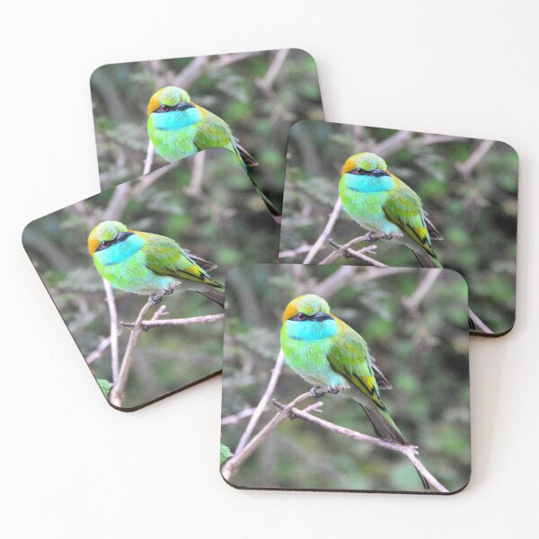 Item preview, Sri Lanka - Tissamaharama Yala National Park designed and sold by franck380.