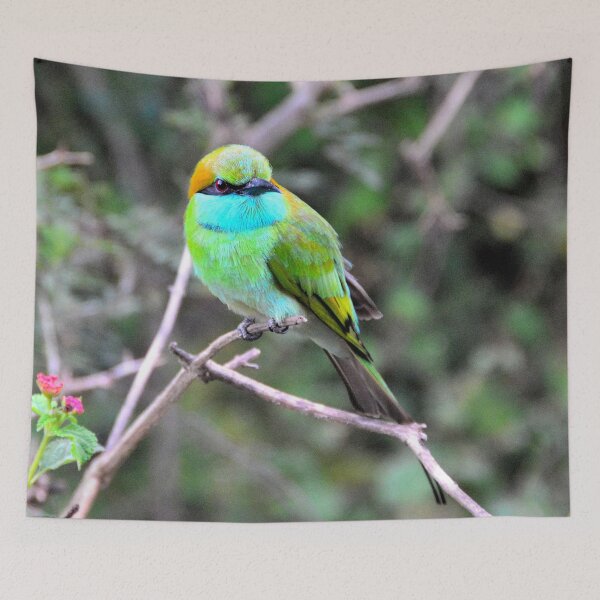 Item preview, Sri Lanka - Tissamaharama Yala National Park designed and sold by franck380.