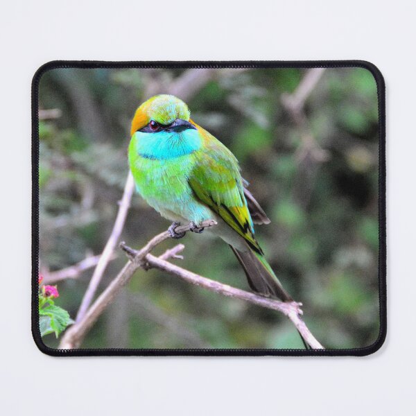 Item preview, Sri Lanka - Tissamaharama Yala National Park designed and sold by franck380.