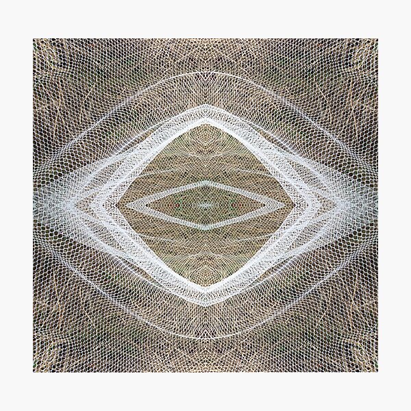 Vineyard Net Abstract 1 Photographic Print