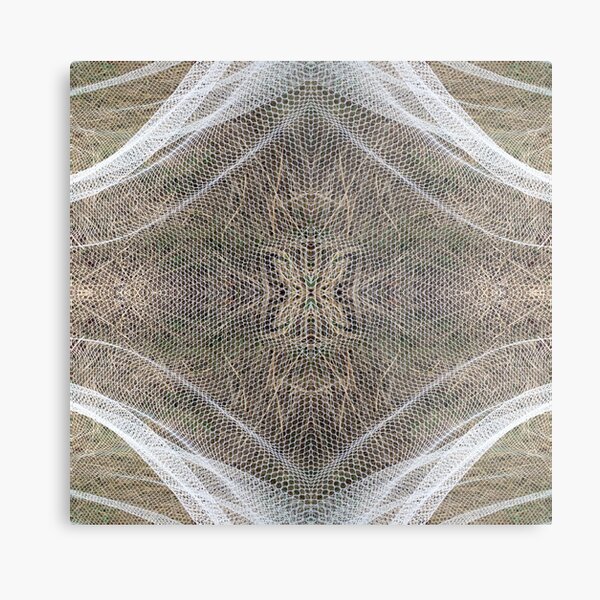 Vineyard net Abstract 2 Metal Print