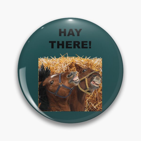 Item preview, HAY THERE!    (2) designed and sold by rn65astman.