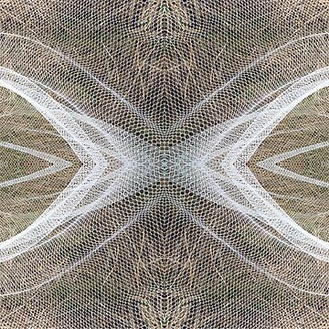 Artwork thumbnail, Vineyard net Abstract 3 by Adelaide artist Avril Thomas at Magpie Springs by MagpieSprings