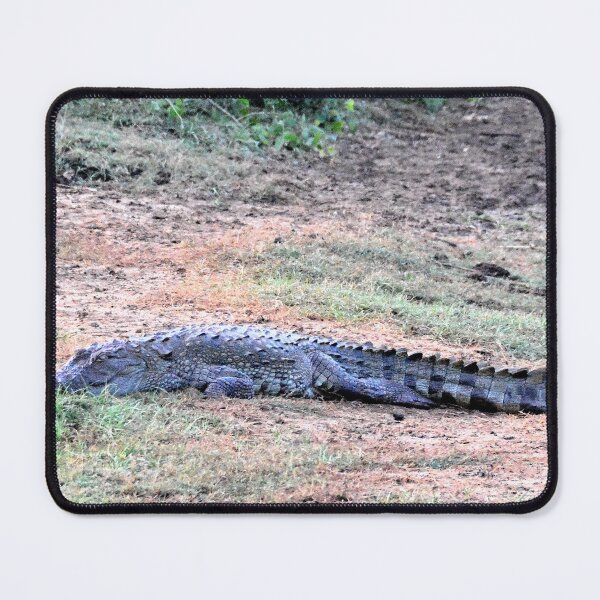 Item preview, Sri Lanka - Tissamaharama Yala National Park designed and sold by franck380.