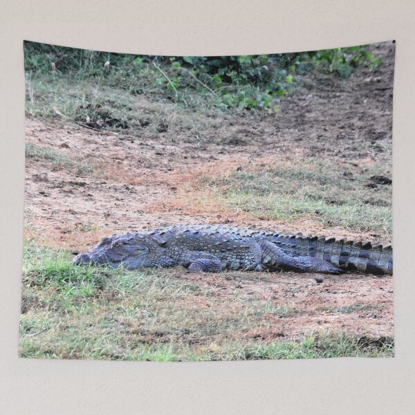 Item preview, Sri Lanka - Tissamaharama Yala National Park designed and sold by franck380.