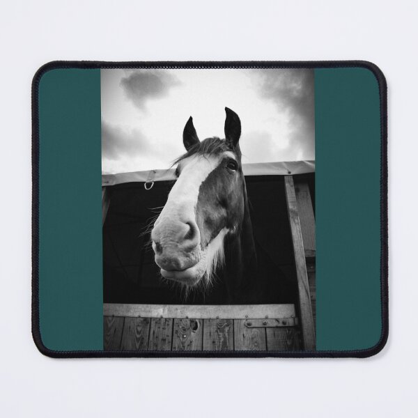 Item preview, Hay there! Graphic  designed and sold by rn65astman.