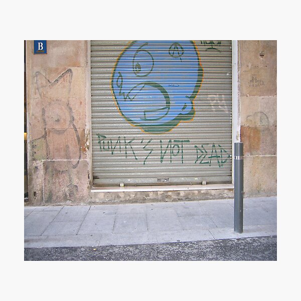 Punks not dead Photographic Print