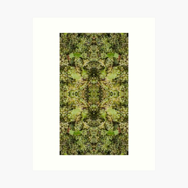 Semillon Grape Design. Adelaide Artist Avril Thomas at Magpie Springs Art Print