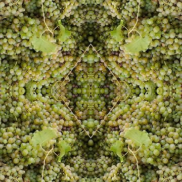 Artwork thumbnail, Semillon Grape Design by Adelaide artist Avril Thomas at Magpie Springs by MagpieSprings