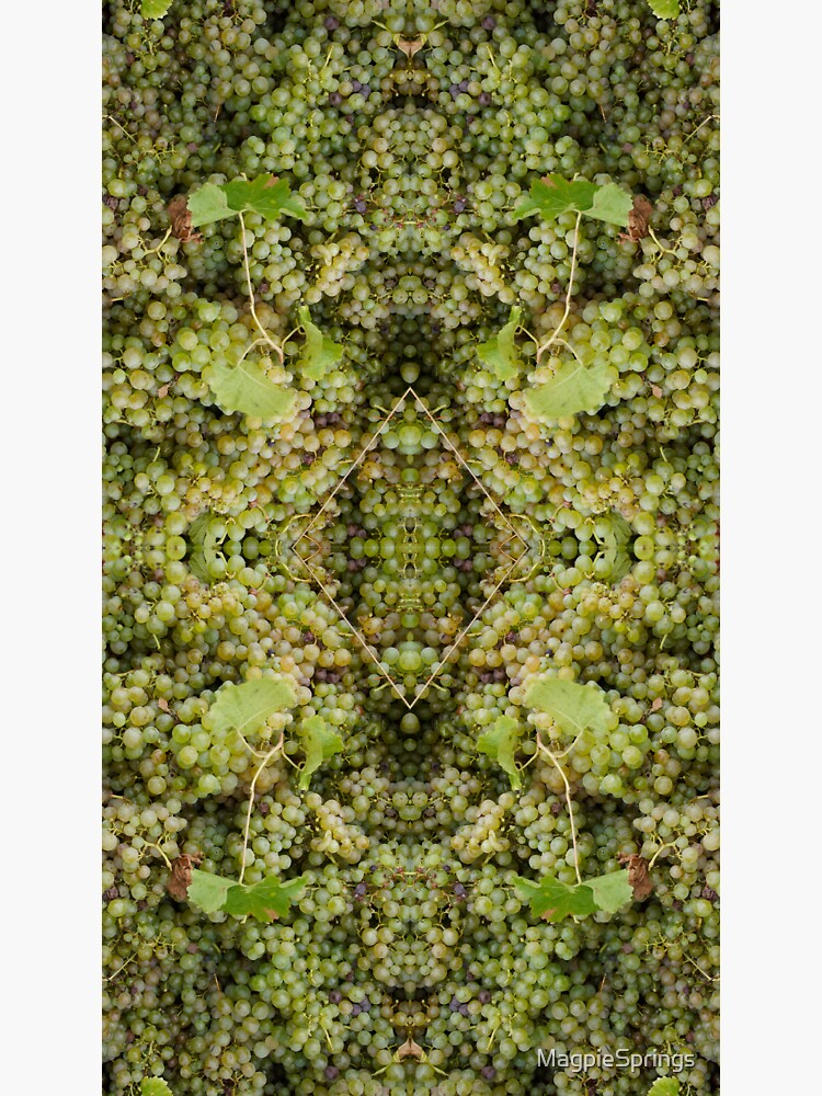 Thumbnail 3 of 3, Sticker, Semillon Grape Design by Adelaide artist Avril Thomas at Magpie Springs designed and sold by MagpieSprings.