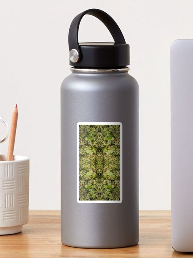 Thumbnail 1 of 3, Sticker, Semillon Grape Design by Adelaide artist Avril Thomas at Magpie Springs designed and sold by MagpieSprings.