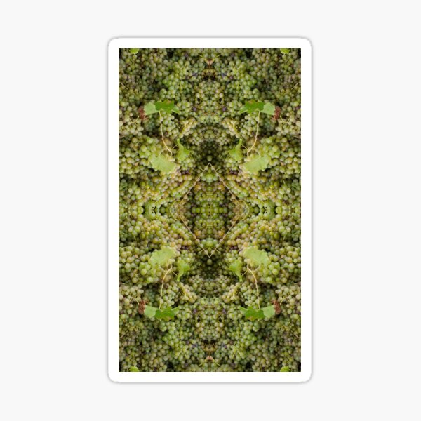 Item preview, Semillon Grape Design by Adelaide artist Avril Thomas at Magpie Springs designed and sold by MagpieSprings.