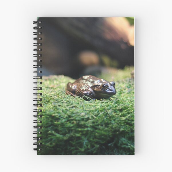 Item preview, Frog on the green designed and sold by JABTORStudios.