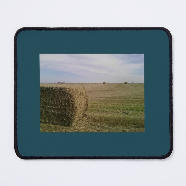 Item preview, Hay Bale    (2) designed and sold by oitroioi55.