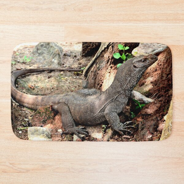 Item preview, A lone lizard at the foot of Lion Rock designed and sold by franck380.
