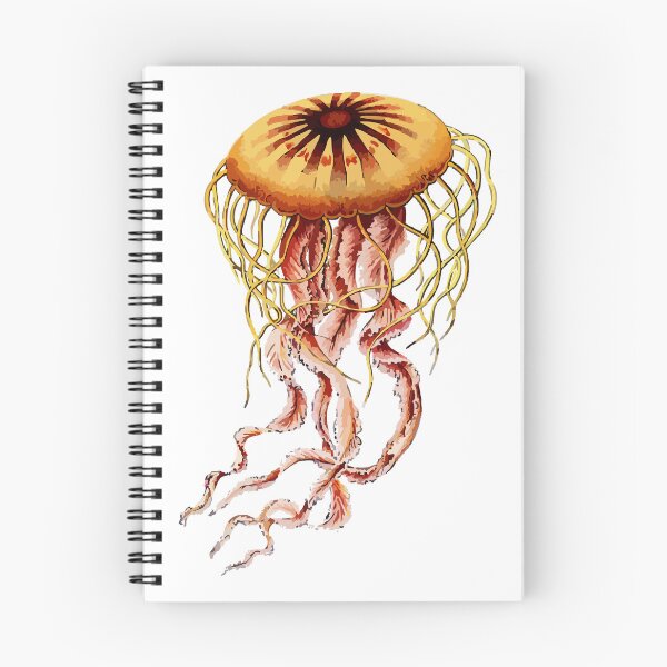 Item preview, Vintage jellyfish by Ernst Haeckel designed and sold by punchyflamingo.